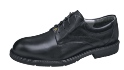 Zeige Details für Sicherheitsschuh S2 Bild von Sicherheitsschuh S2