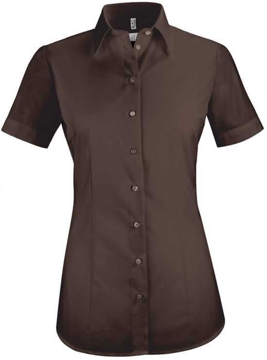 Bild von Damen-Bluse