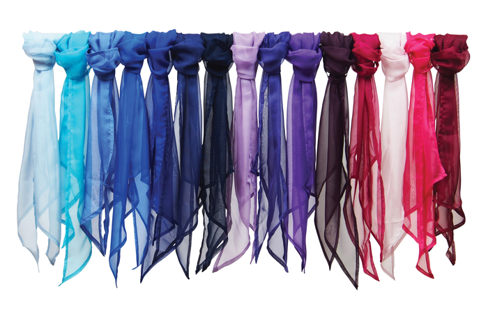 Picture of Womens Chiffon Scarf