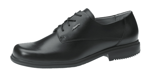 Picture of Professional Shoe black