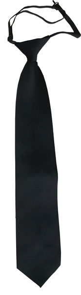 Picture of Tie with clip